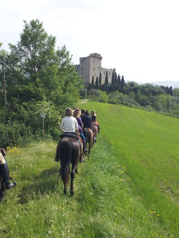 Florence Private Tour - null