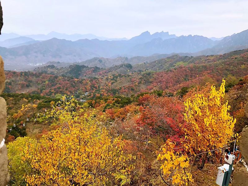 Beijing Private Tour - Mutianyu great-wall in autumn 