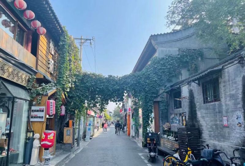 Beijing Private Tour - Hutong 