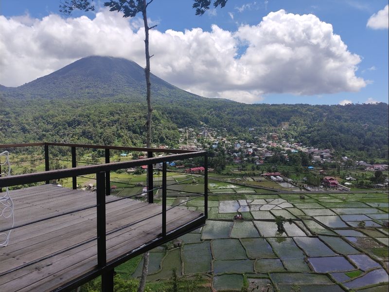 North Sulawesi Private Tour - Paddies Field