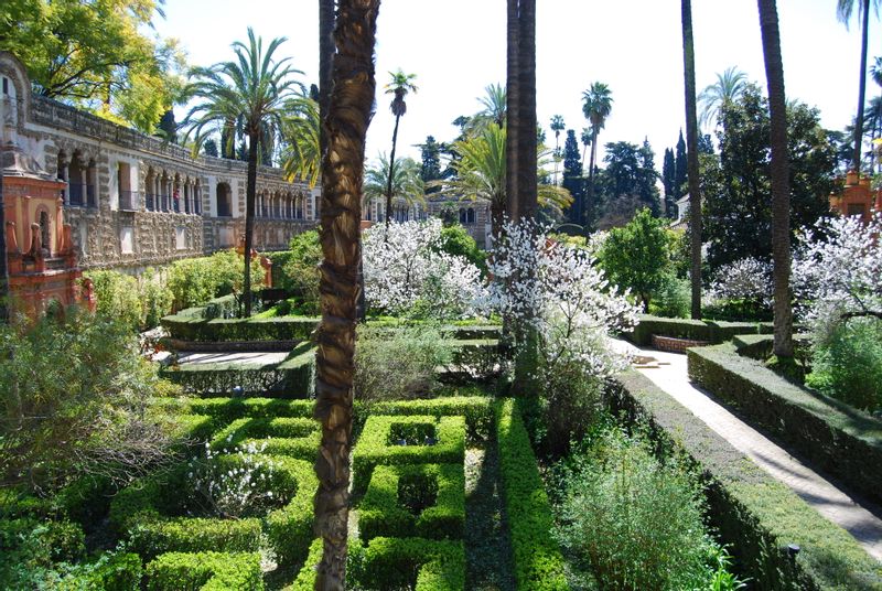 Seville Private Tour - Real Alcazar. Gardens