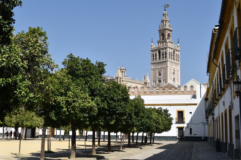 Seville Private Tour - Giralda tower