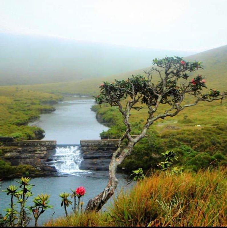 Colombo Private Tour - Horton plains national Park