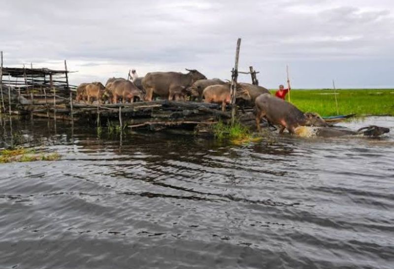 South Kalimantan Private Tour - Nice view 