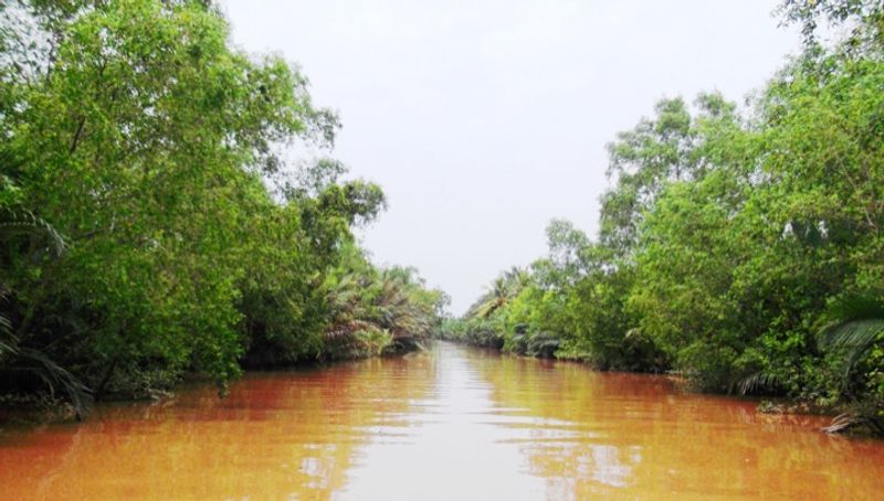 Ho Chi Minh Private Tour - local canal