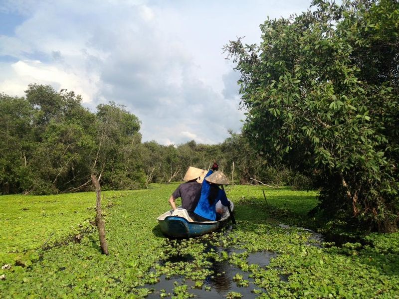 Ho Chi Minh Private Tour - cajuput tree