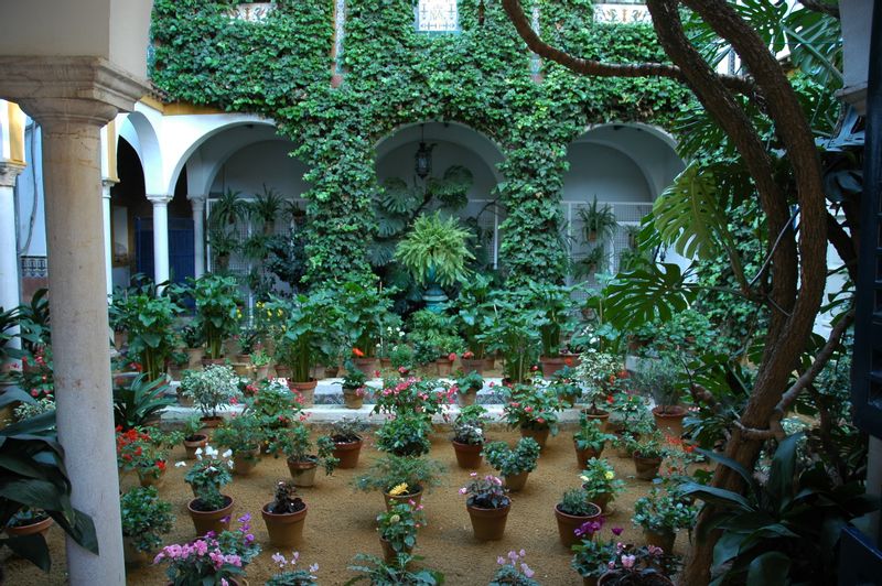 Seville Private Tour - Sevillian patio.