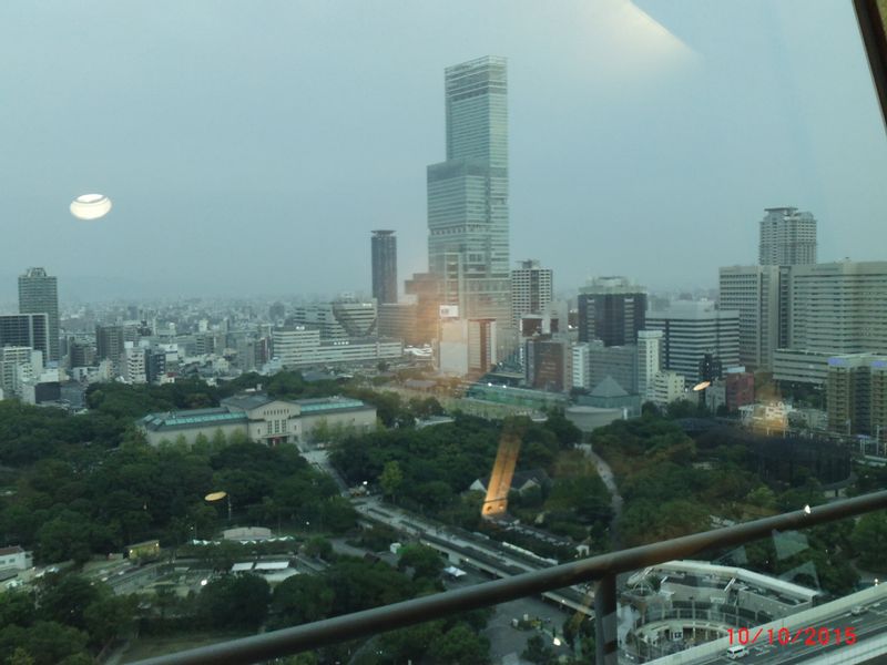 Osaka Private Tour - From Umeda Sky Building