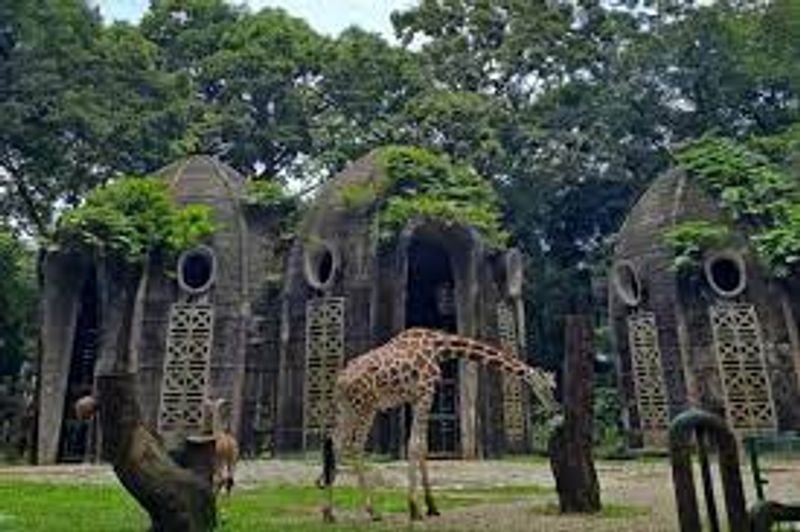 Jakarta Private Tour - its not all capital city has a zoological park. but Jakarta has it.Ragunan zoo. if you are in Jakarta, i think visiting this zoo with your family is a must.its not only animals from Indonesia, but from other countries too. we have giraffe, camel, etc...