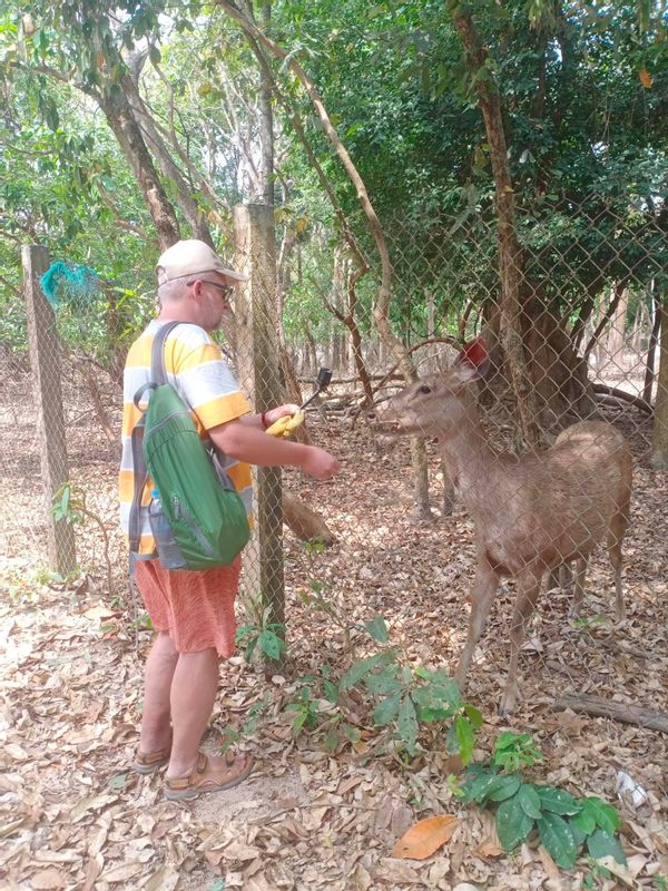 Phnom Penh Private Tour - null