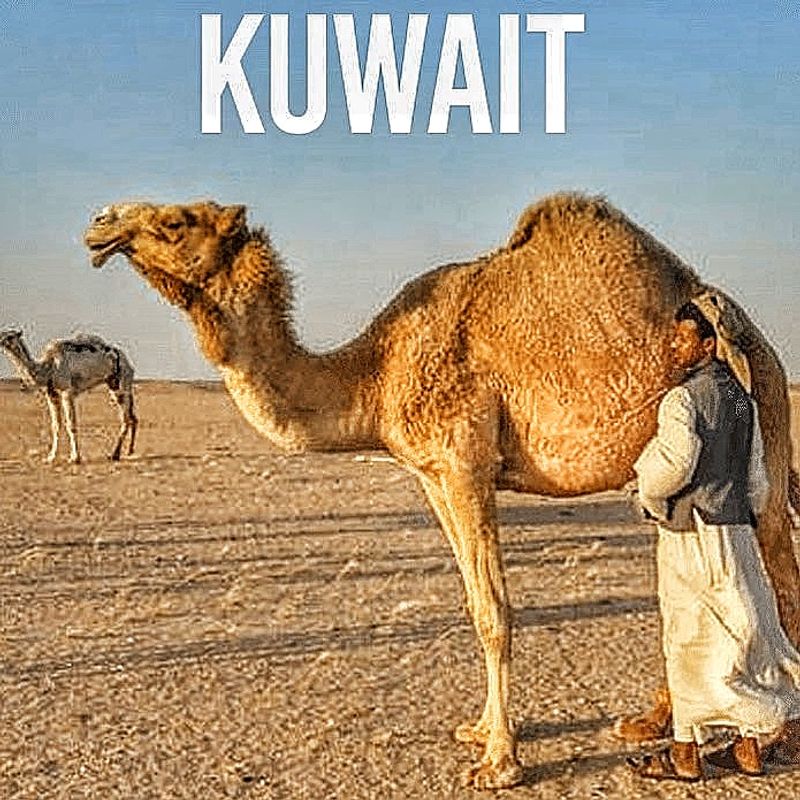 Al Kuwayt Private Tour - Kuwait private local tour guide