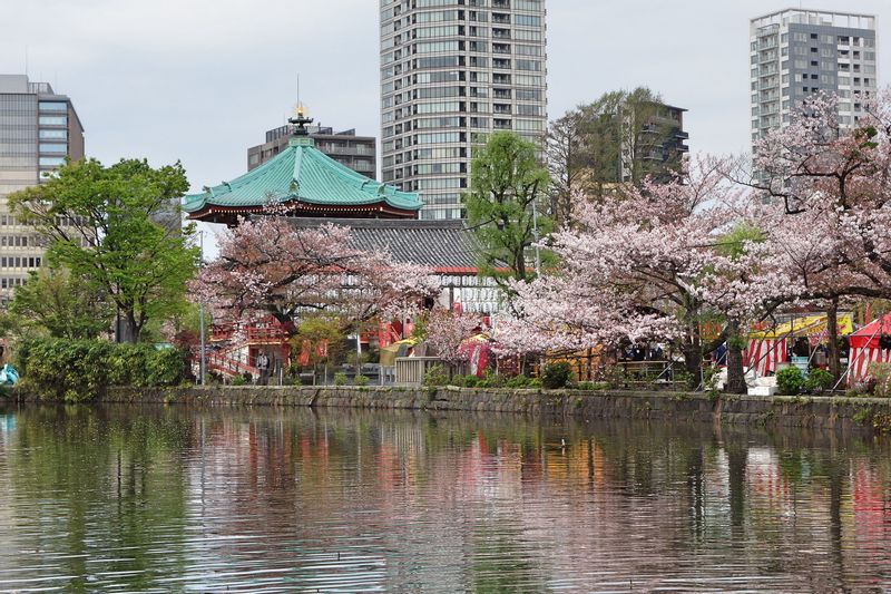 Tokyo Private Tour - un temple sur l'eau à Ueno