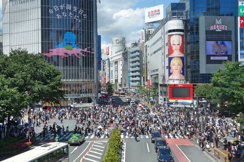 Tokyo Private Tour - Shibuya crossing