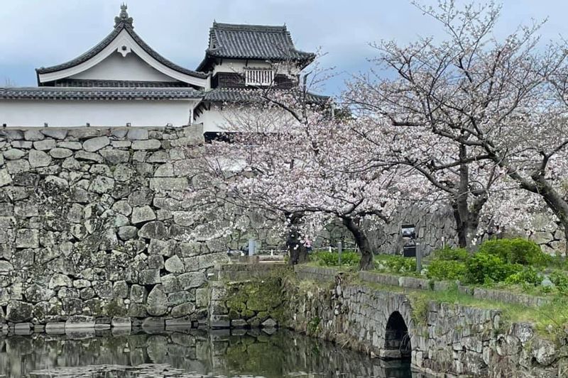 Fukuoka Private Tour - Vestiges du château de Fukuoka près du parc "Ohori Koen".