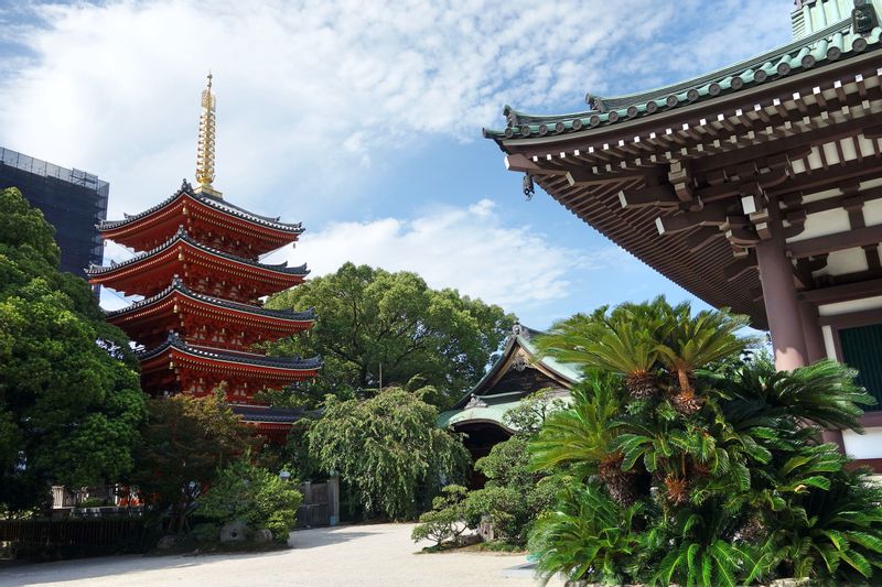 Fukuoka Private Tour - Temple Tocho-ji
Une pagode à 5 étages et une grande statue de Bouhhda de plus de 10 mètres de haut.