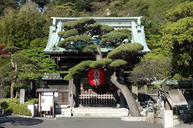 Kamakura Private Tour - Temple bouddhiste "Hasedera"