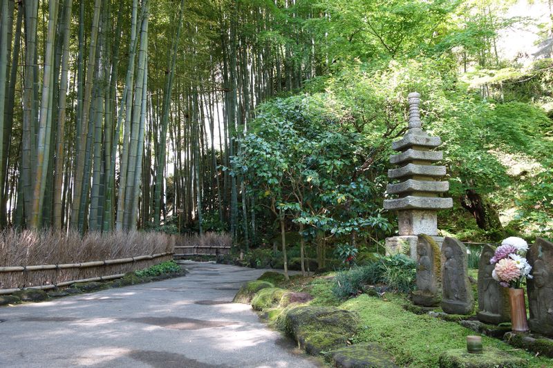 Kamakura Private Tour - Jolie bambouseraie au temple zen "Hokokuji" 