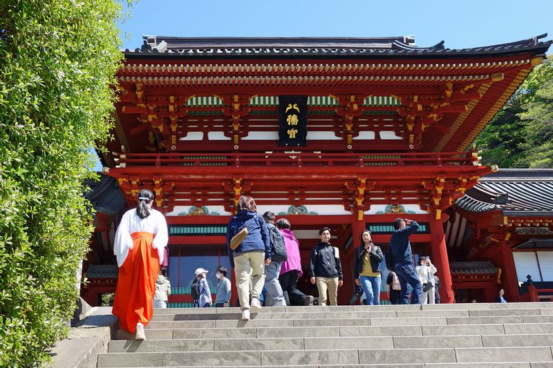 Kamakura Private Tour - Sanctuaire shintoïste "Tsurugaoka Hachimangu"