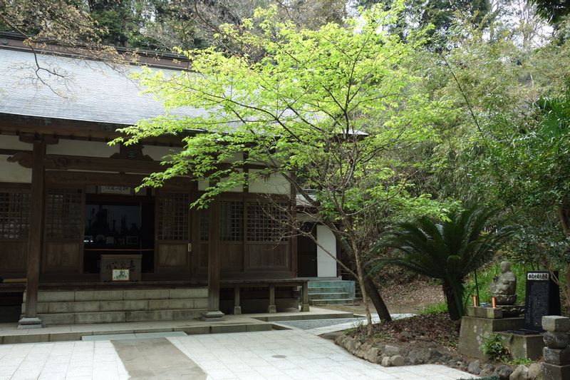 Kamakura Private Tour - Temple zen "Engakuji"