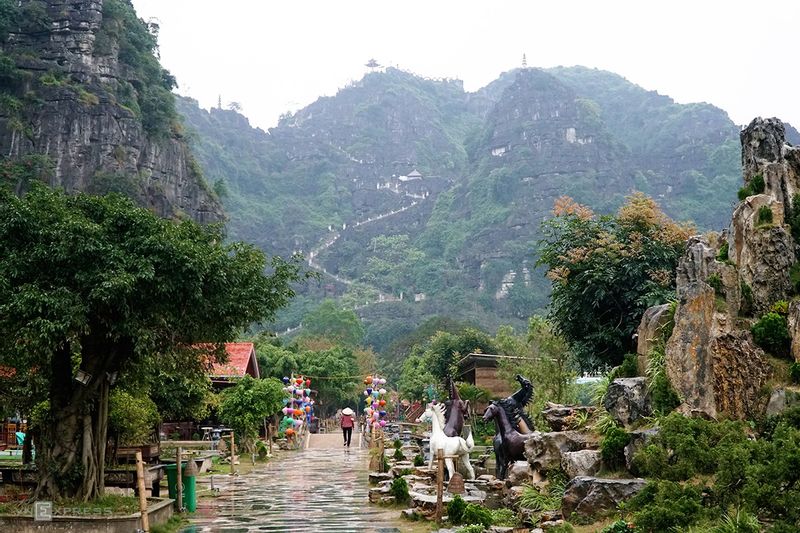 Hanoi Private Tour - Visit Dragon lying Mountain - Hang Mua