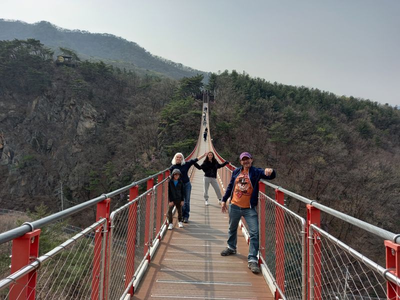 Seoul Private Tour - Gamaksan Suspension Bridge 2