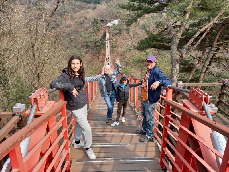 Seoul Private Tour - Gamaksan Suspension Bridge