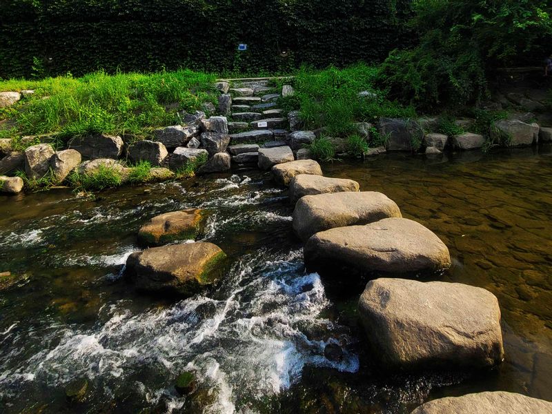 Seoul Private Tour - Cheonggyecheon stream