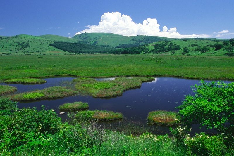 Yashimagahara Marsh created over 12000 years