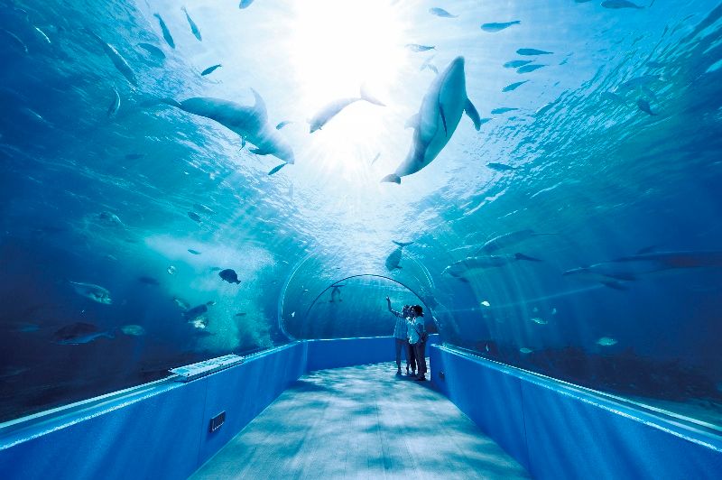 Notojima Aquarium