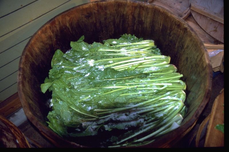 Fresh-tasting nozawana that is salt-pickled in large buckets. The taste will vary depending on each household.