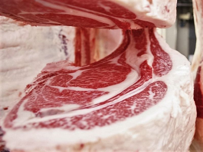 The cows are raised on huge farms and fed on rich sources of wild grasses. Hiroshima beef is truly a wagyu gem that has been given tender loving care.