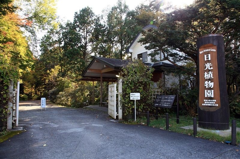 Nikko Botanical Garden