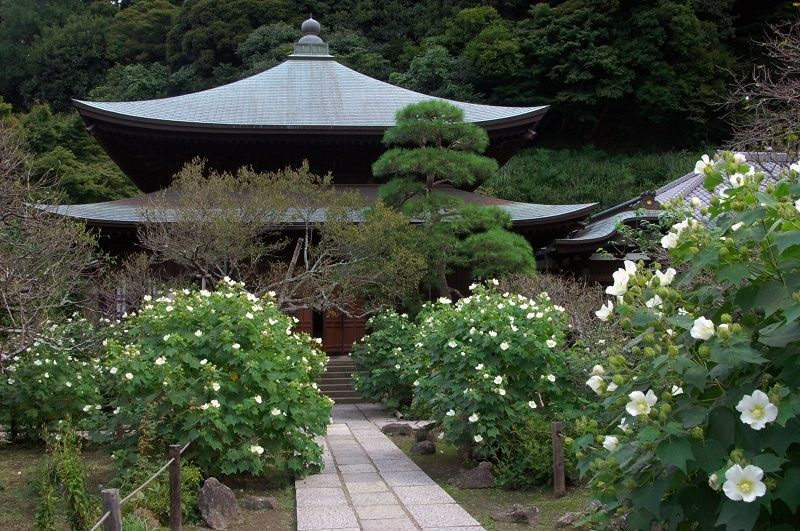 瑞泉寺