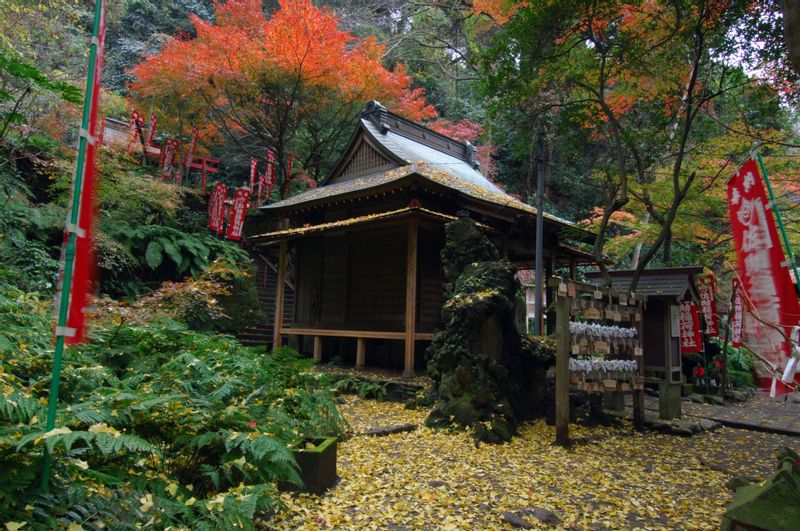 Sasuke-Inari Shrine