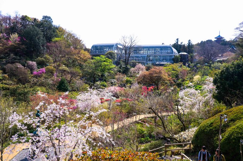 The Kochi Prefectural Makino Botanical Garden 