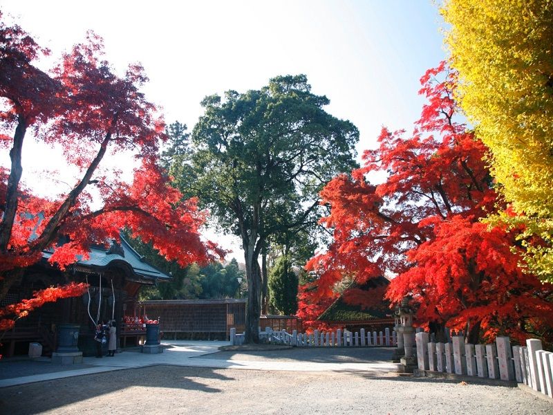 Shourin-zan Daruma-dera Temple 