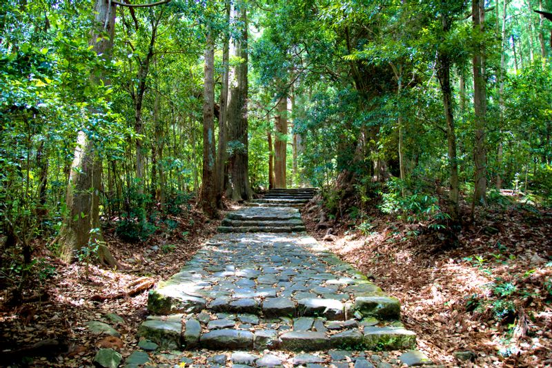 Kumano Kodo Path