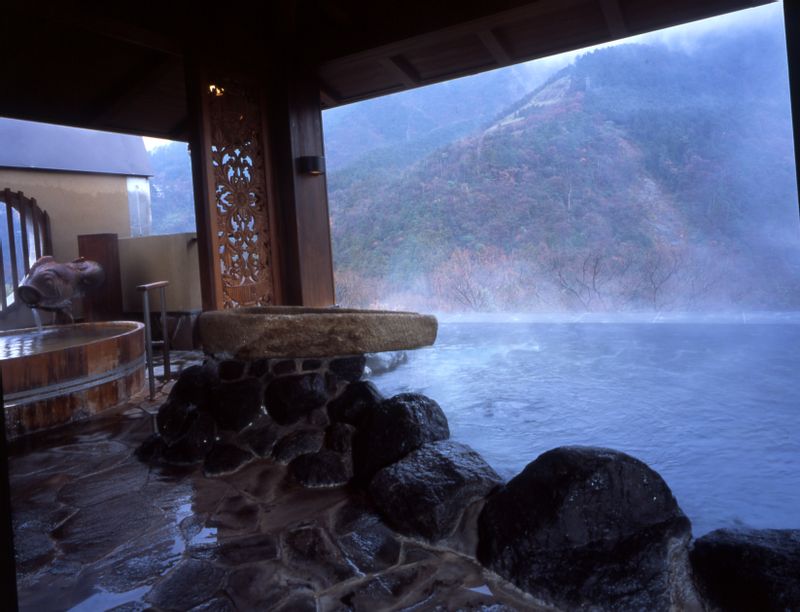 Hakone Hot Springs