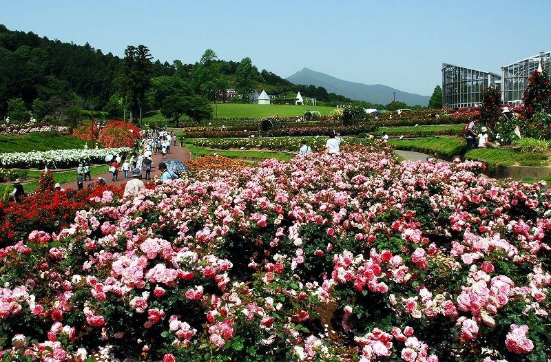 Ibaraki Flower Park