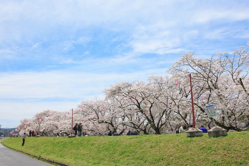 尾关山公园