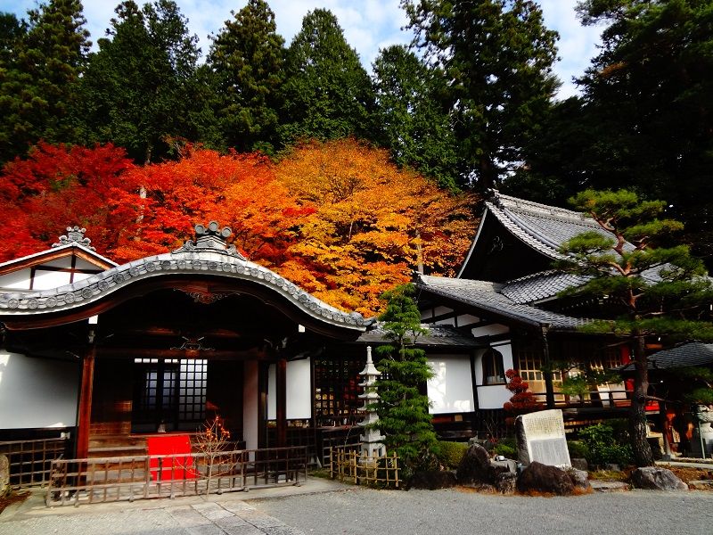 At the Onsen Temple just a 15-minute walk away from Gero Station, you can enjoy the fall colors