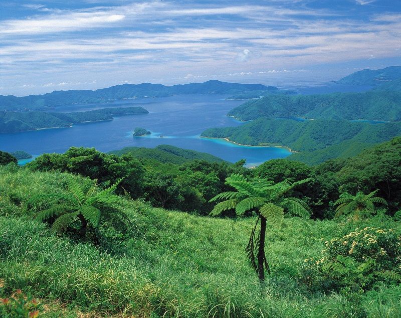 Amami-Oshima Island