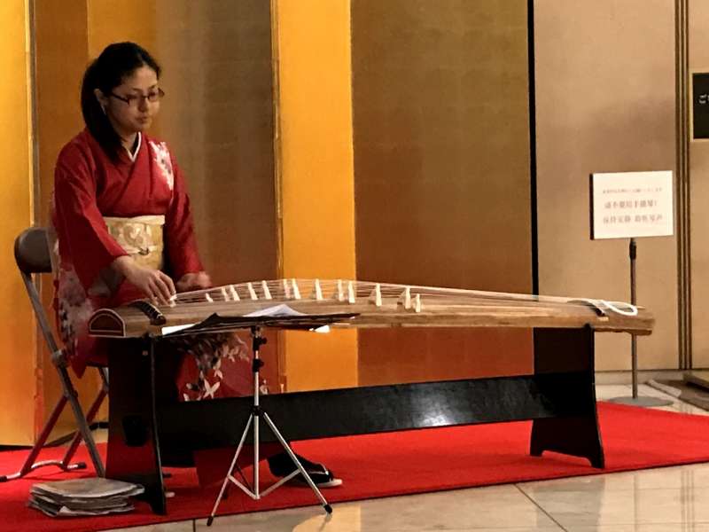 Koto, Japanese 13stringed musical instrument GoWithGuide