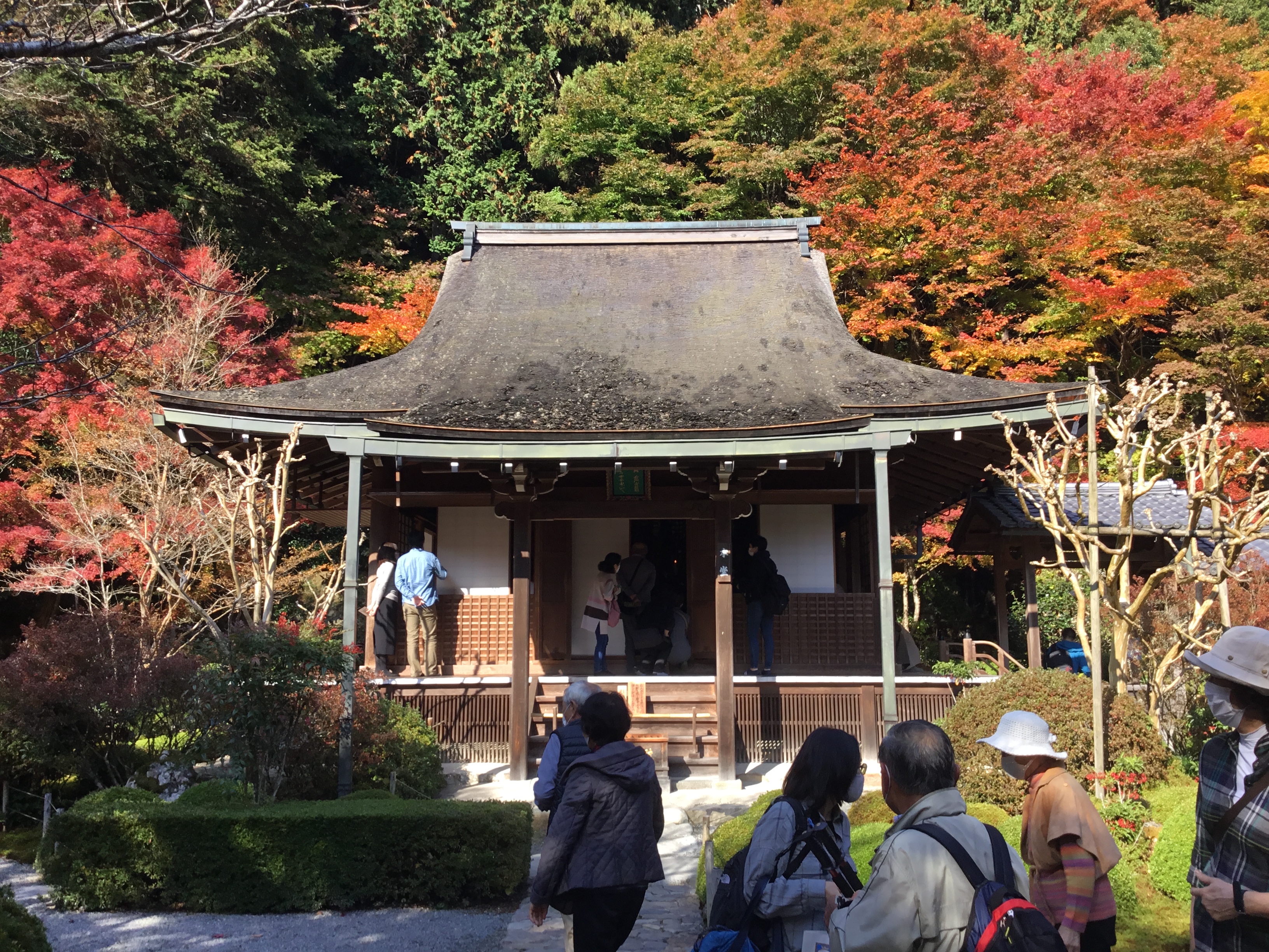 blog image