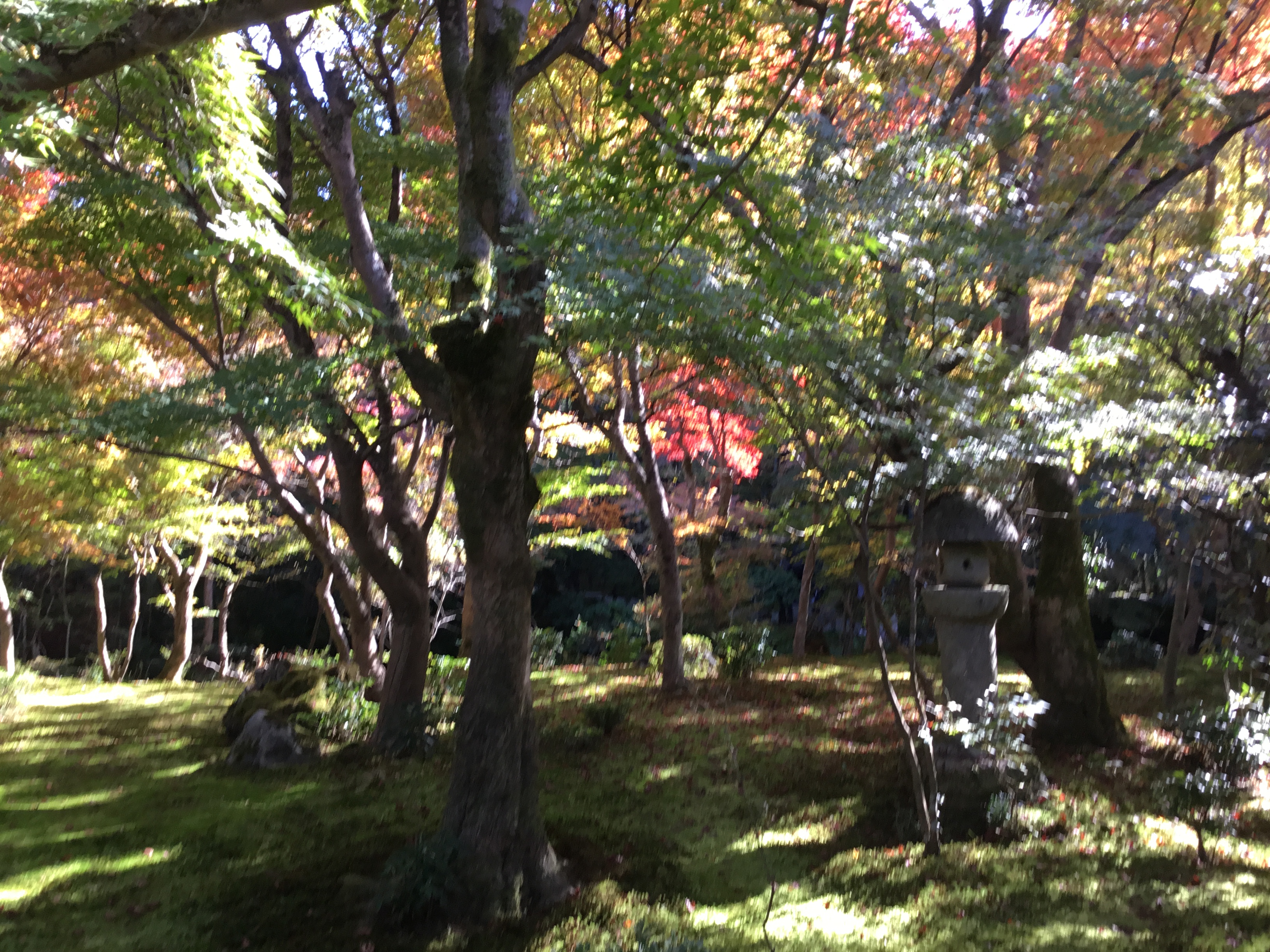 blog image