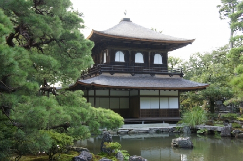 blog image