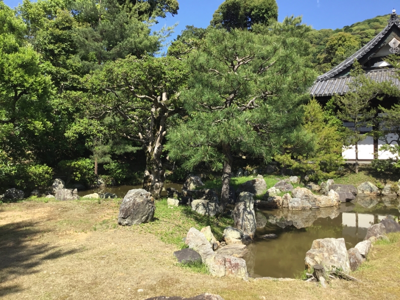 blog image