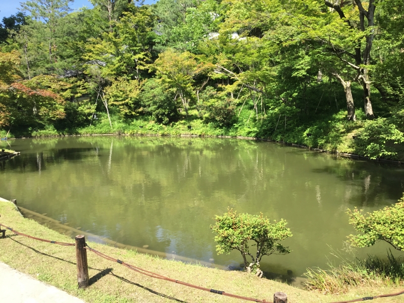 blog image