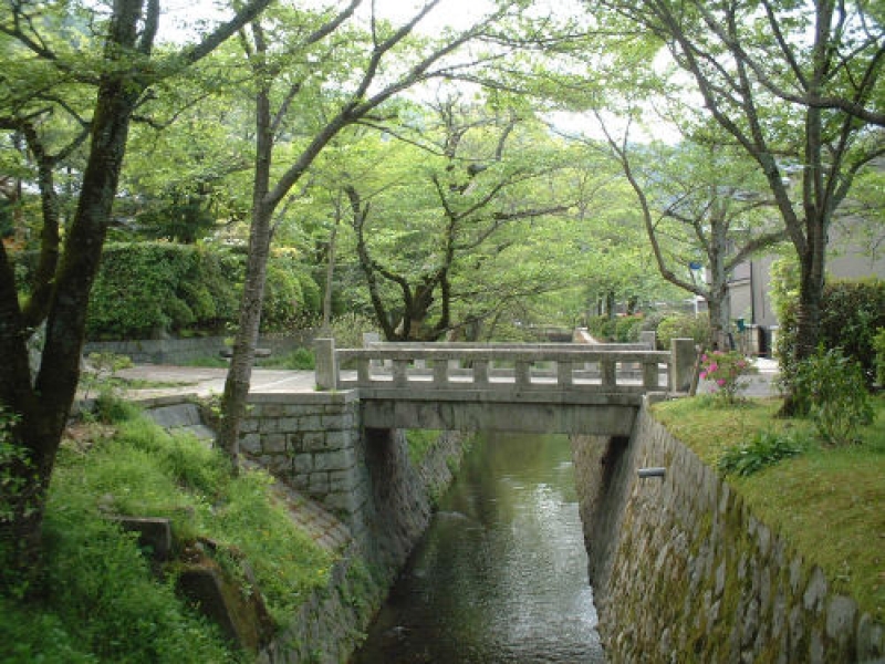 blog image