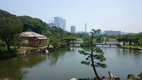 Hama Detached Palace Garden (Hamarikyu Garden)